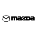 Client Main Image